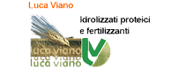 Testo alternativo